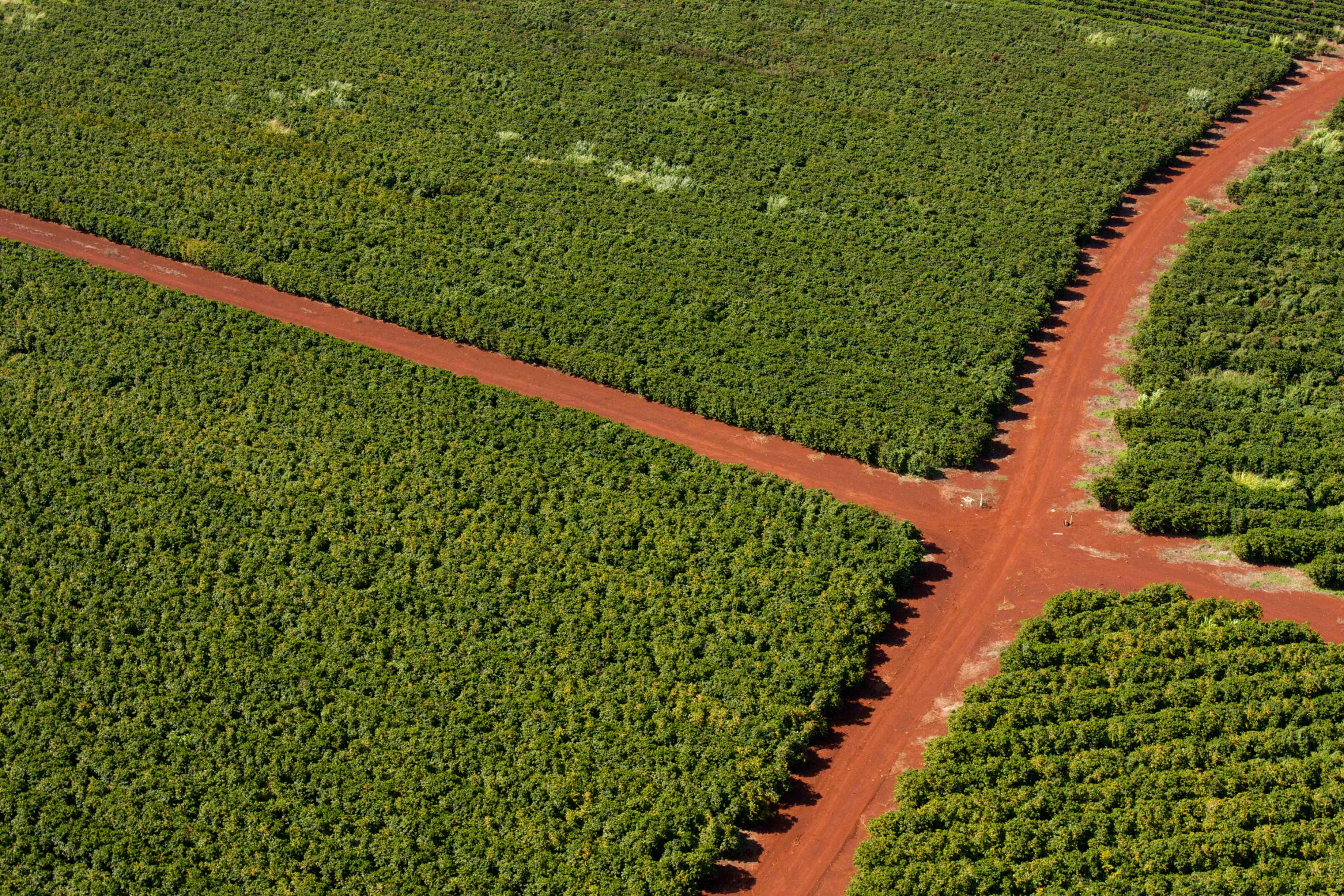 Agricultural commodities and farming